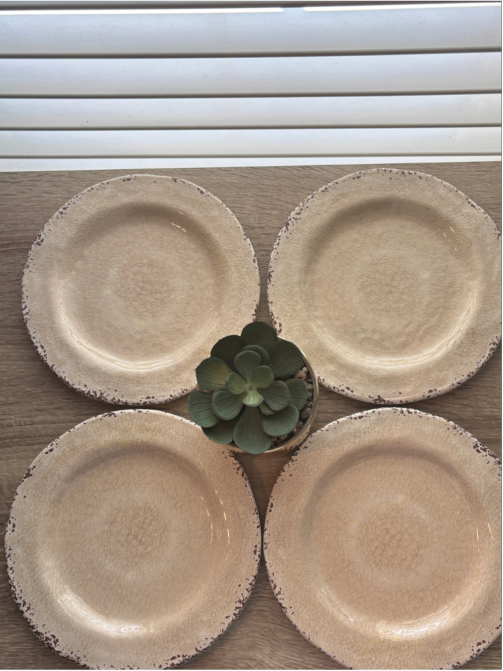 4 Pier 1 Cream Brown Carmelo Melamine Crackle 9” Salad Plates Set of 4